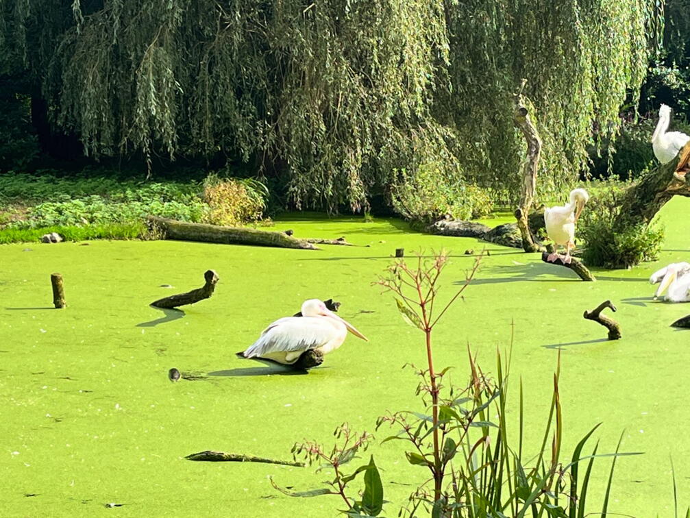 23-09-22 12-29-28 7256